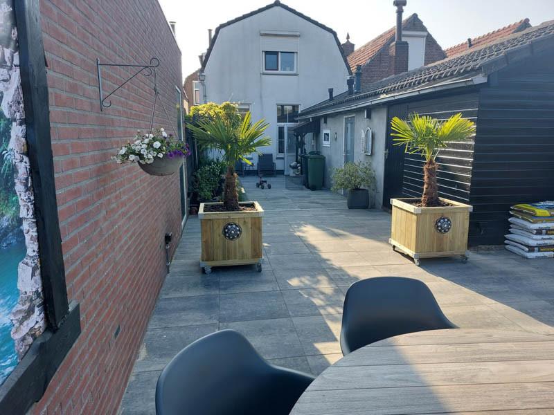 Zeeuwse knop bloembakken vanuit assortiment op maatopgave