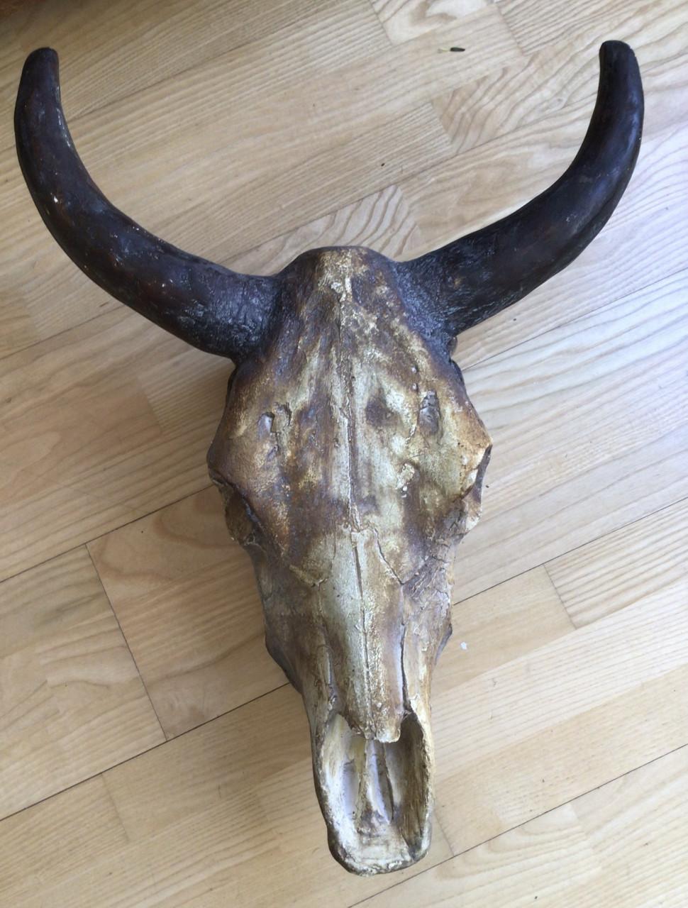 Decoratieve gipsen schedel van een waterbuffel