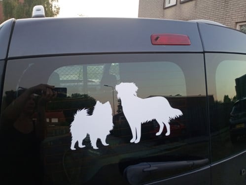 Orginele vinyl stickers vor op gladde oppervlaktes