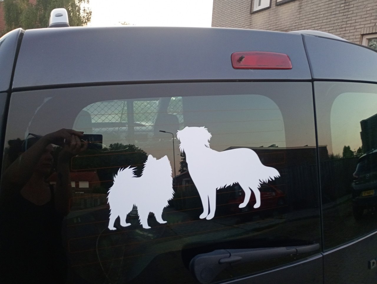 Orginele vinyl stickers vor op gladde oppervlaktes