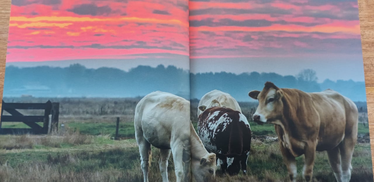 Zeeuws kookboek: Leuk Zeeuws koken, splinternieuw