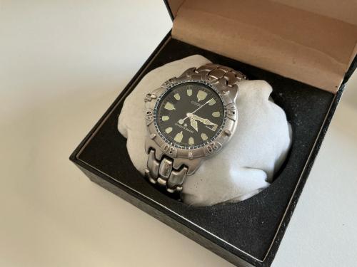 Citizen Promaster in goede staat, 20 bar