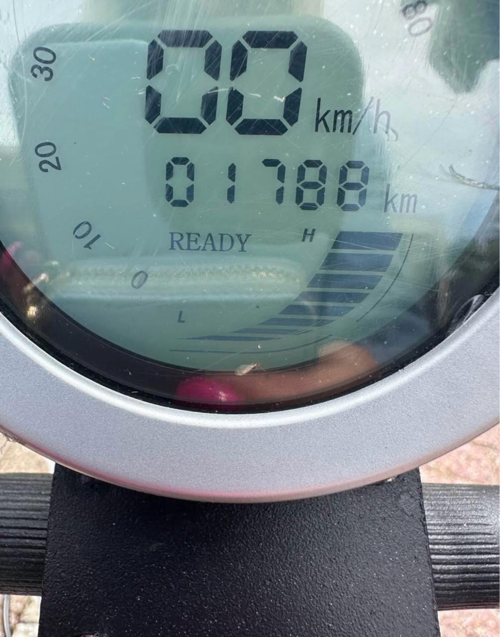 Ecruiser X1 (evt met kinderstoel)