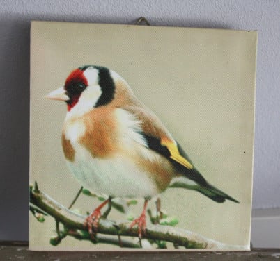 Canvaslijstje met vogel