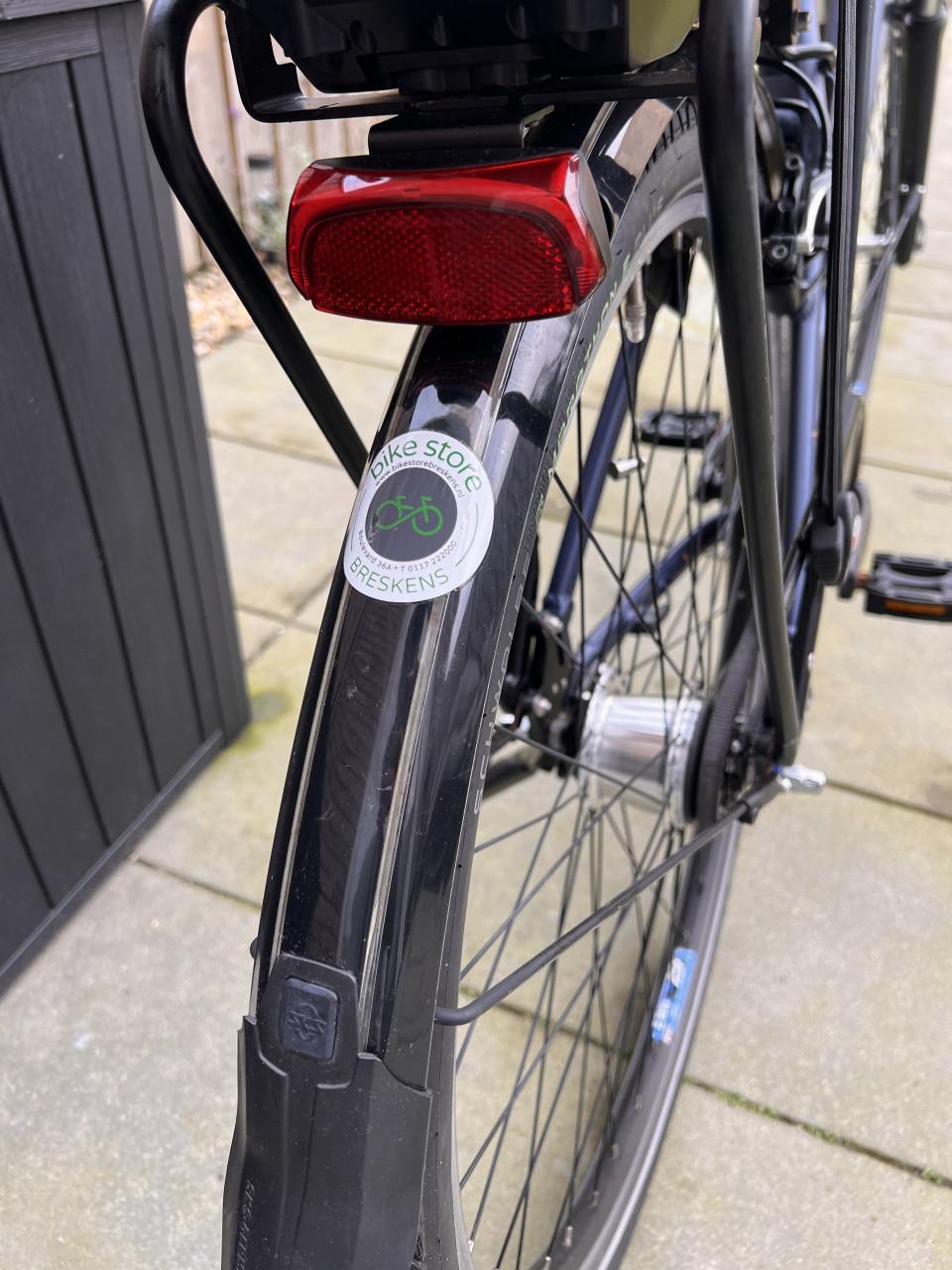 Pegasus Siena E7F Plus Belt