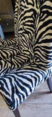 2 Super leuke jungle Zebra stoelen z.g.a.n