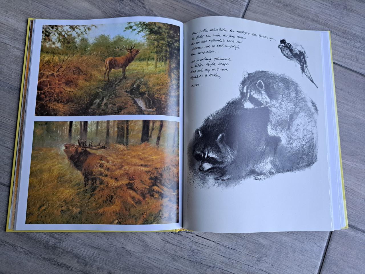 De ark van Noach Ere wie ere toekomt van Rien Poortvliet