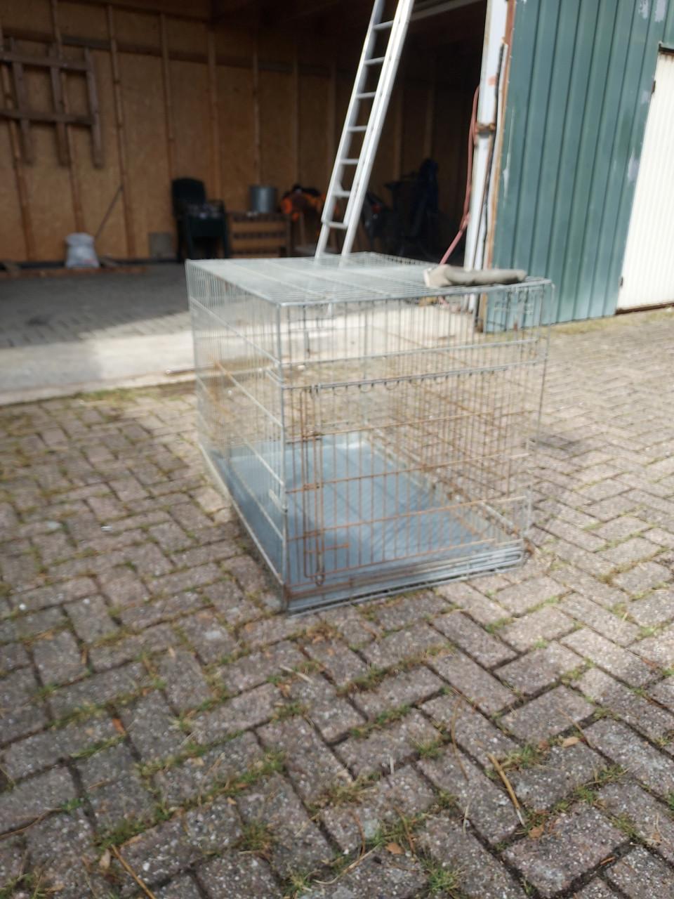 Honde bench groot