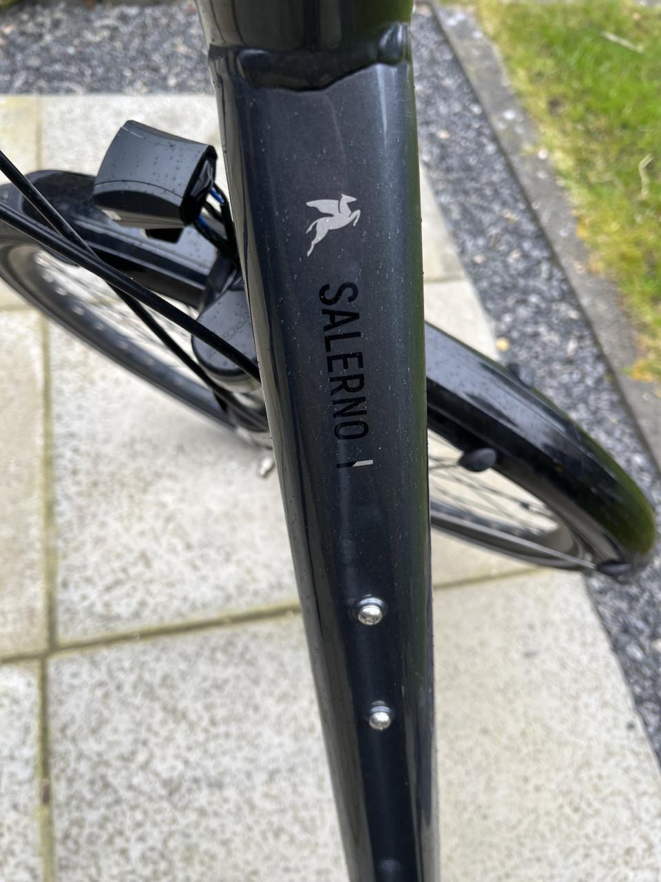Leuke stadsfiets, nog in goede staat - Pegasus Salerno 7 NL 2022
