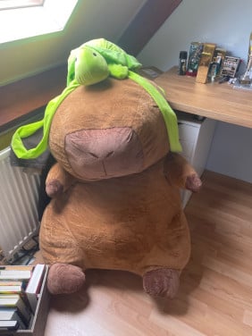 Capybara knuffel