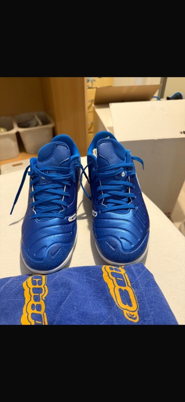 Zaalschoenen nike