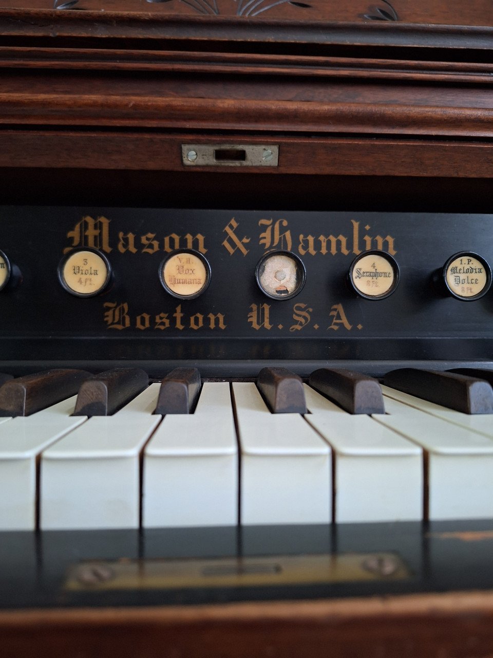 Mason & Hamlin traporgel (harmonium)