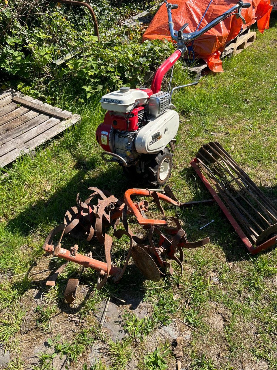 Tuinfrees