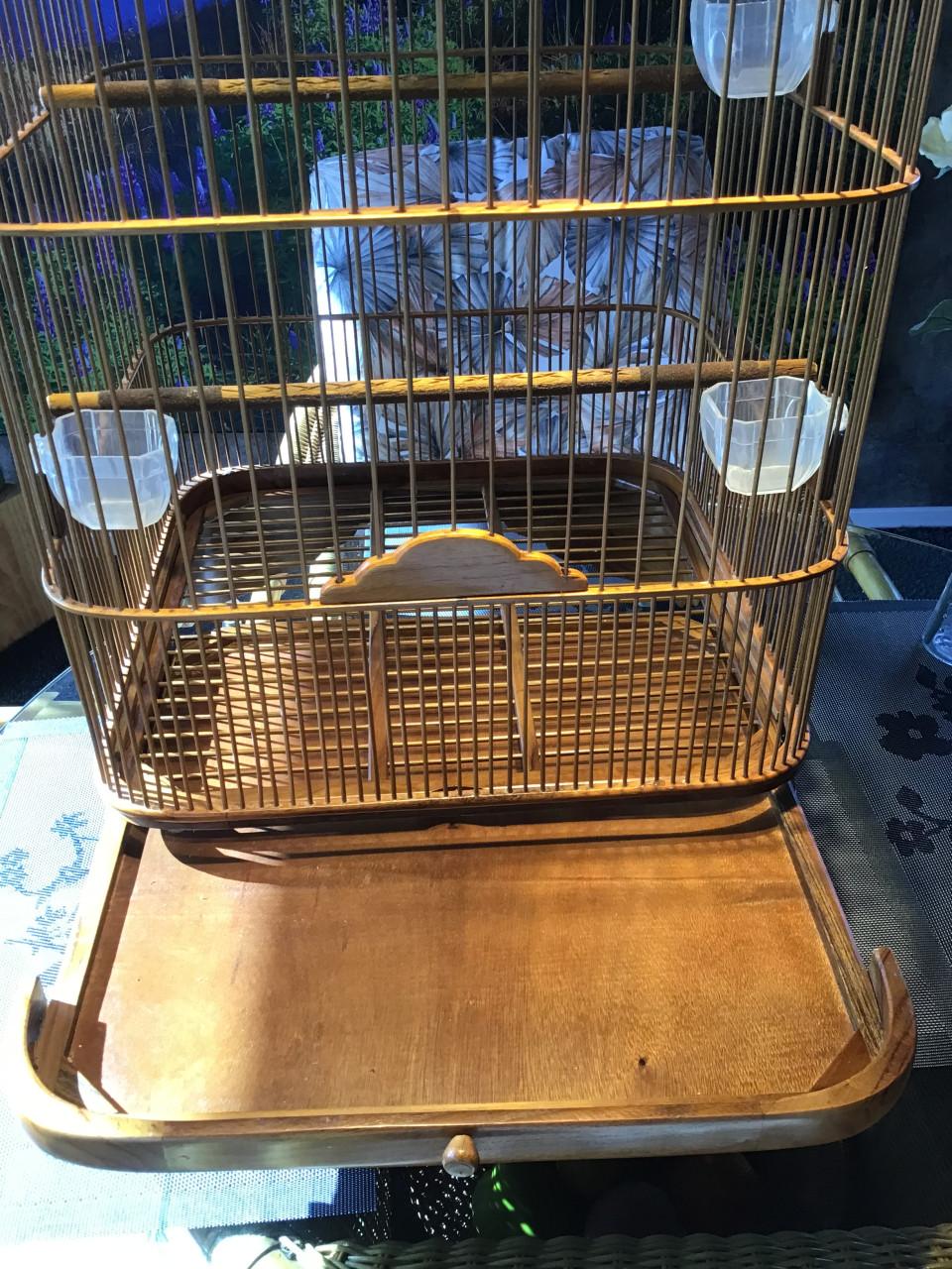 Zangkooi voor b v shamalijster