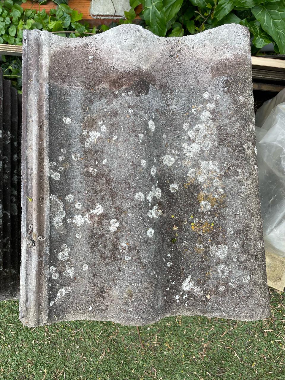 Dakpannen sneldekkers