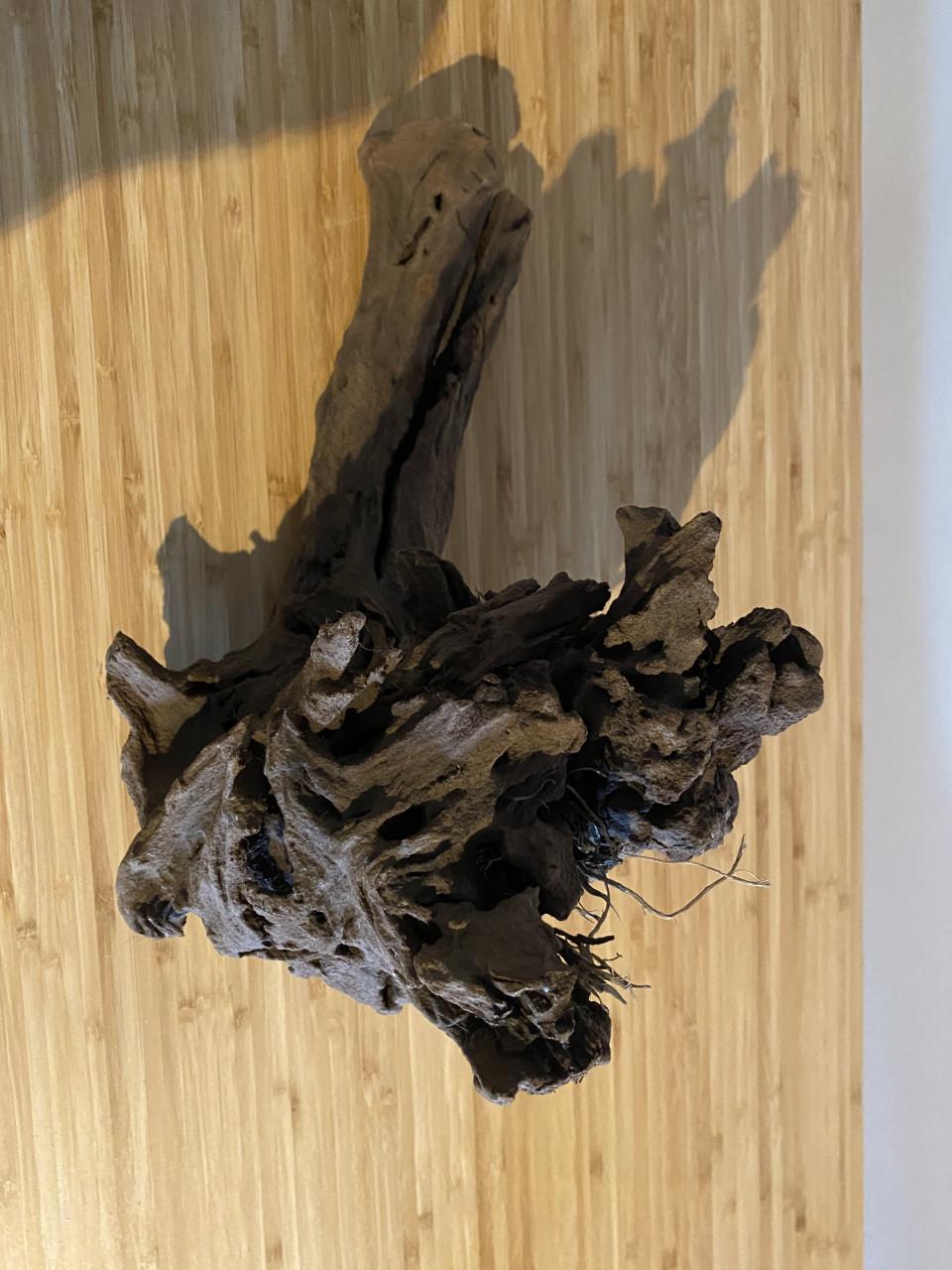 Mangrove hout voor in aquarium