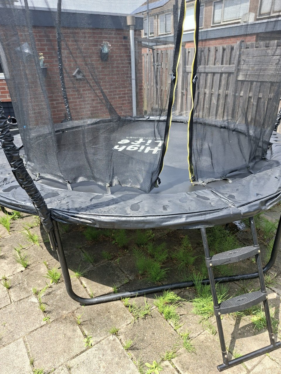 Trampoline