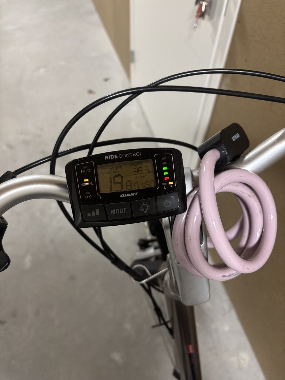 Giant Go Double e-bike