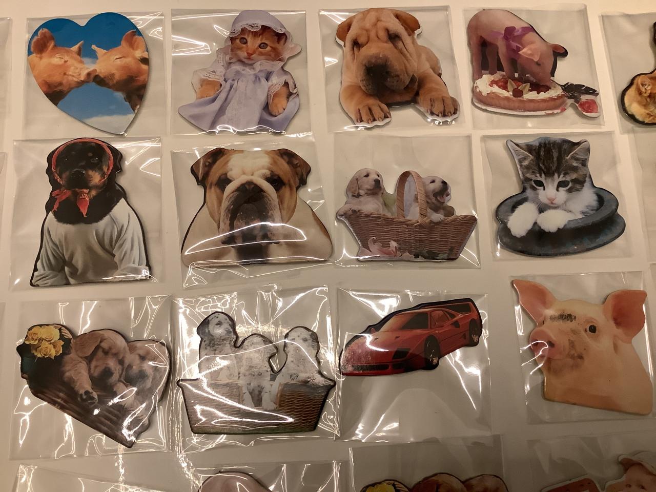 Partij super leuke magneetjes. ( partij 22)