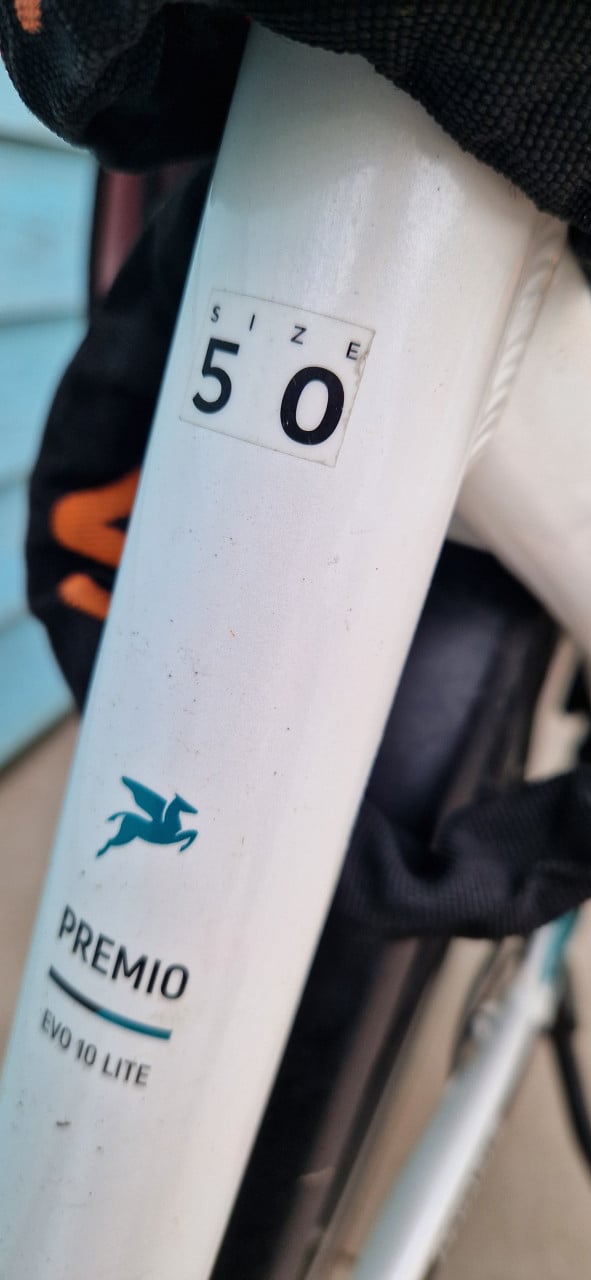 Te koop e-bike pegasus