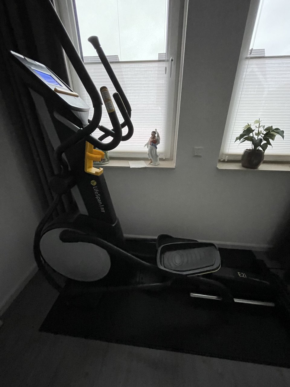 Crosstrainer