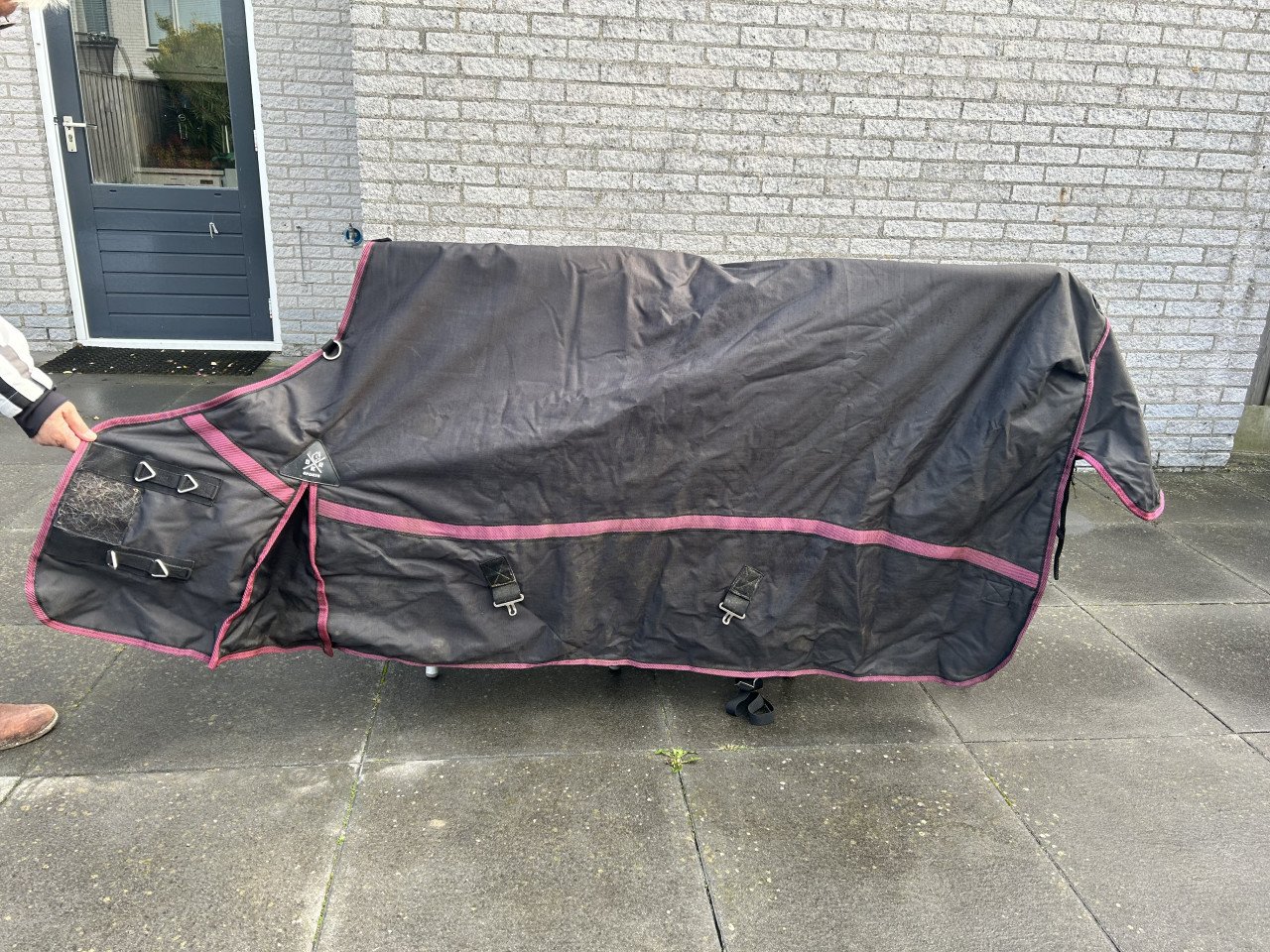 Dekens