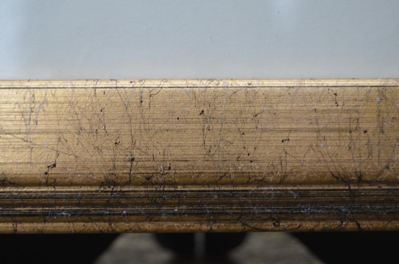 Fraaie handgekleurde litho 'Pintail' (Pijlstaart) 1868