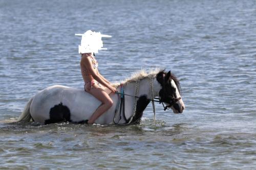 Tinker merrie te koop