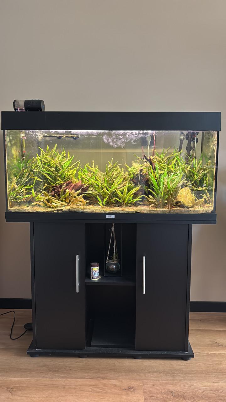 Aquarium met kast
