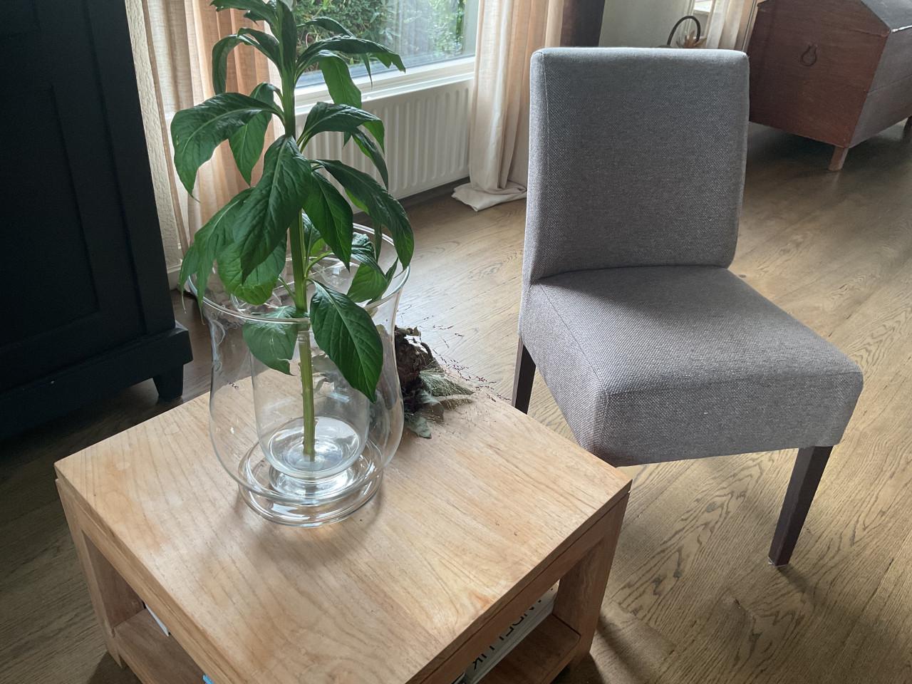 Eetkamer stoelen H&H