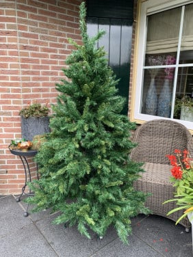 Kerstboom ong 1.75 m