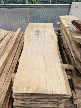 Schaaldeel boomstamplank