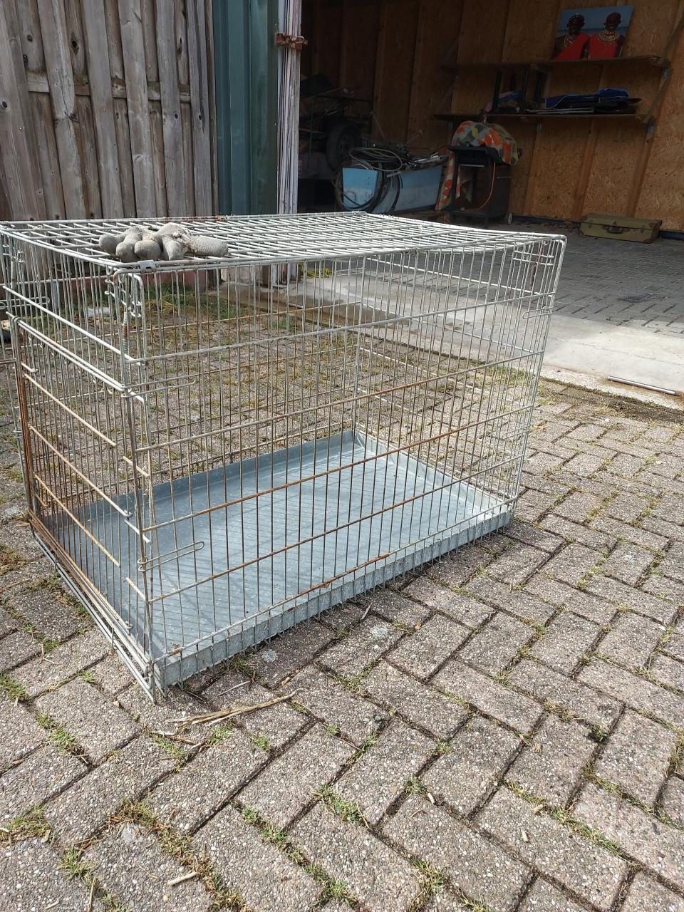 Honde bench groot