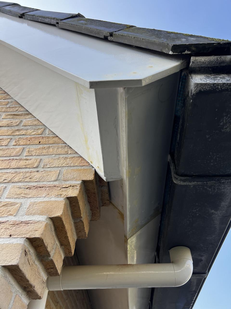 Hout rot sanering/ timmerwerk