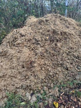 Gratis: Paardenmest (BIO)