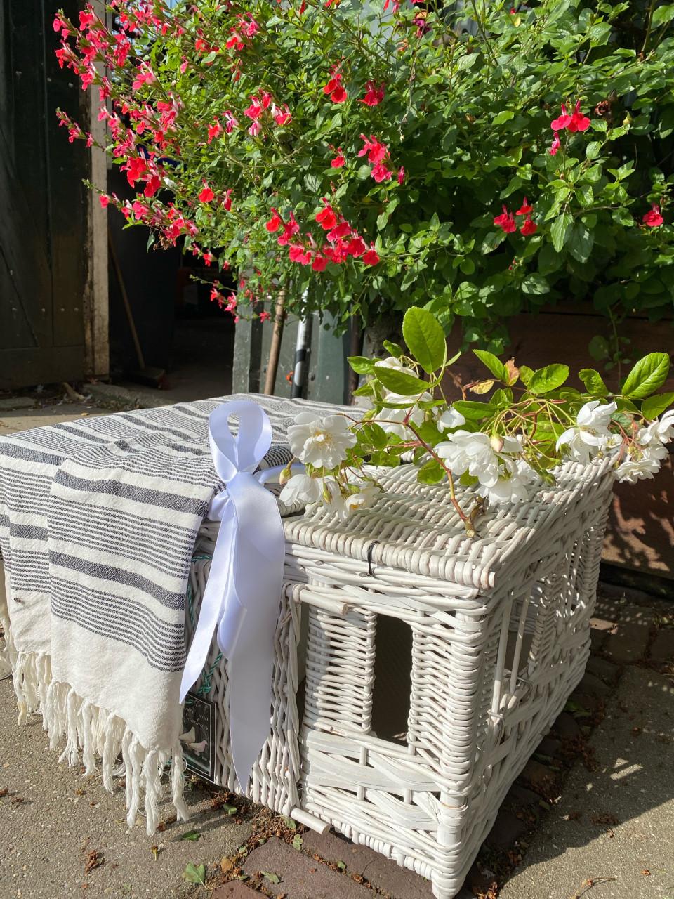 Witte postduiven oplaten: leuker dan een cadeaubon!