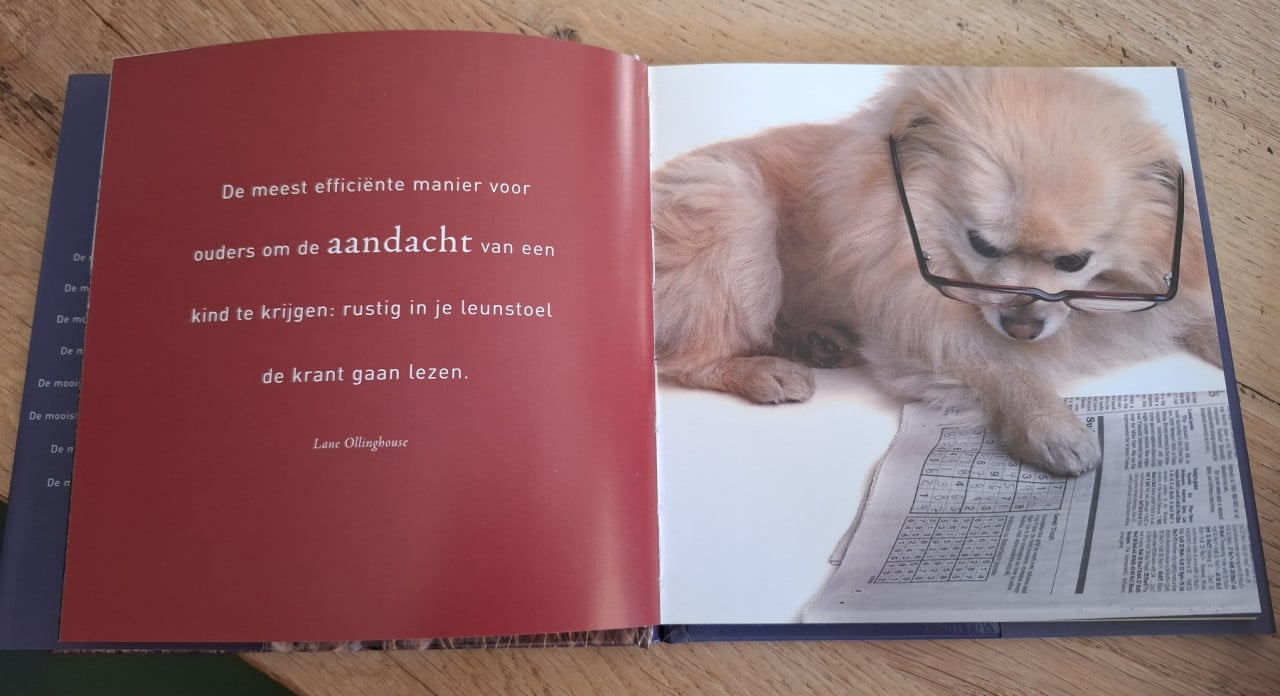 De mooiste uitspraken over vaders, verzameld door Gerd de Ley