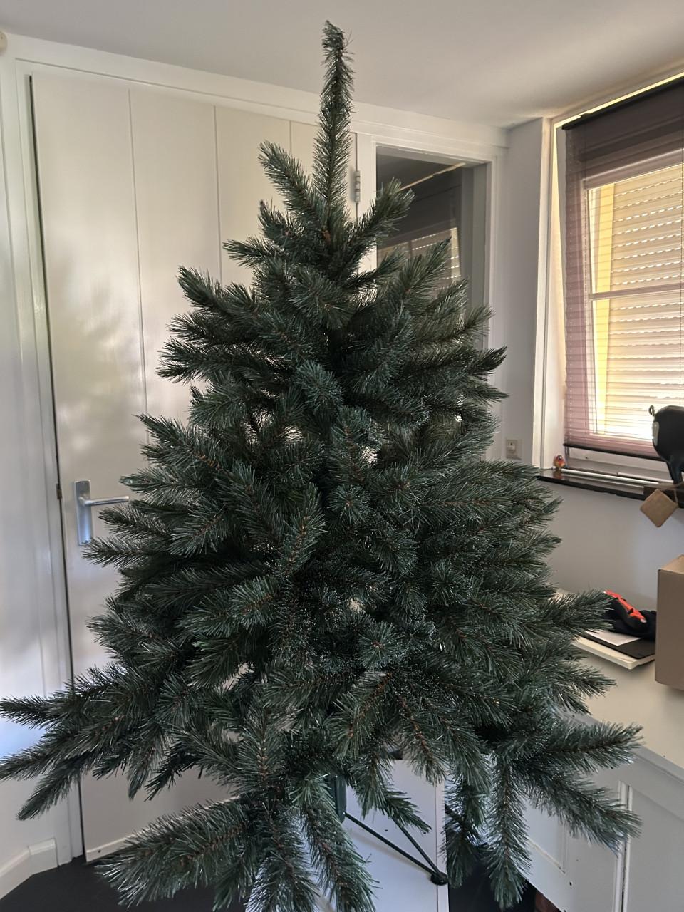 Kerstboom , 1 keer opgezet. Intratuin , Romagne