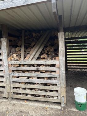 Haardhout