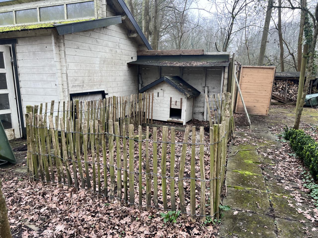 Schapenhek inclusief kippenhok