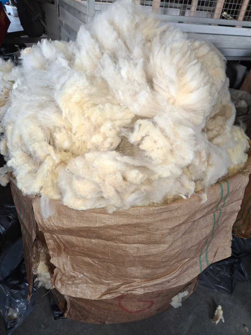 Te koop schapen wol