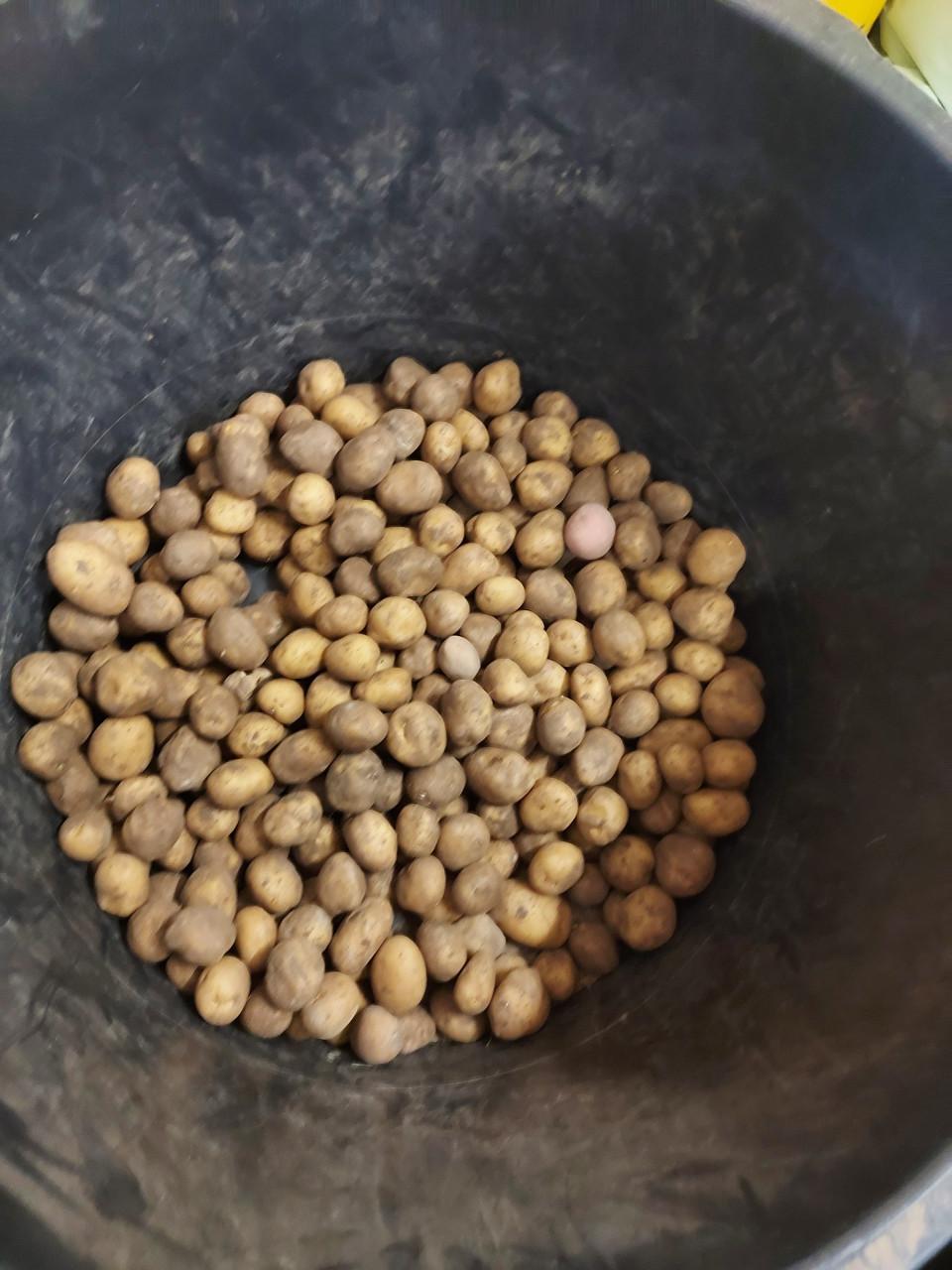 Zaden meststoffen grond