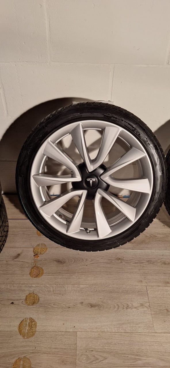19'' Originele Performance Tesla Model 3 velgen + banden