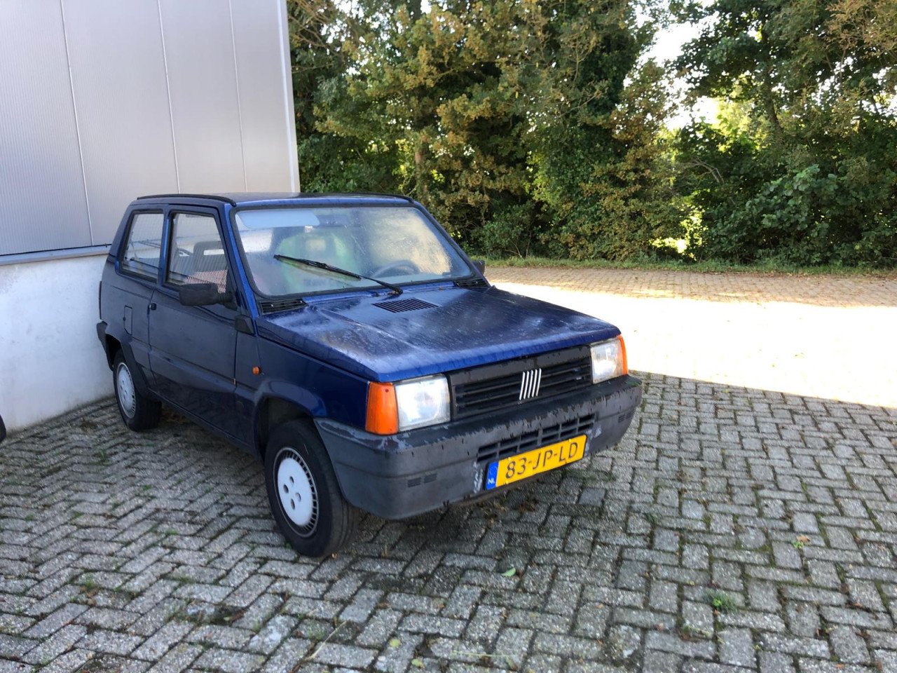 Fiat Panda Young