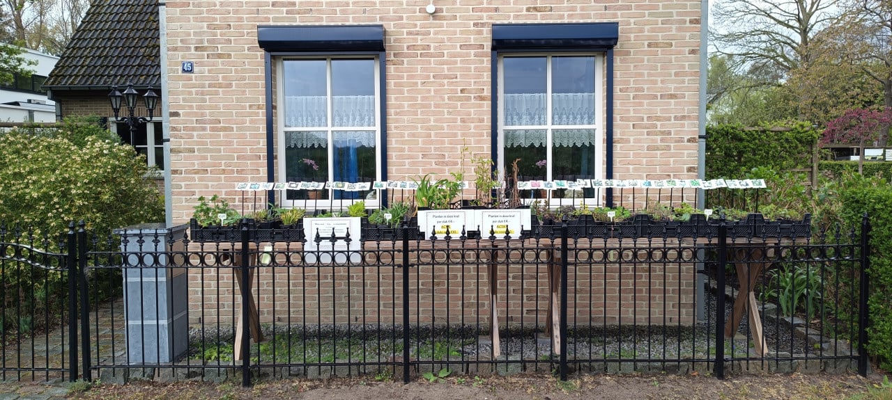 De tuin in met betaalbare en gifvrije planten ? Kom ze uitzoeken voor €1,25