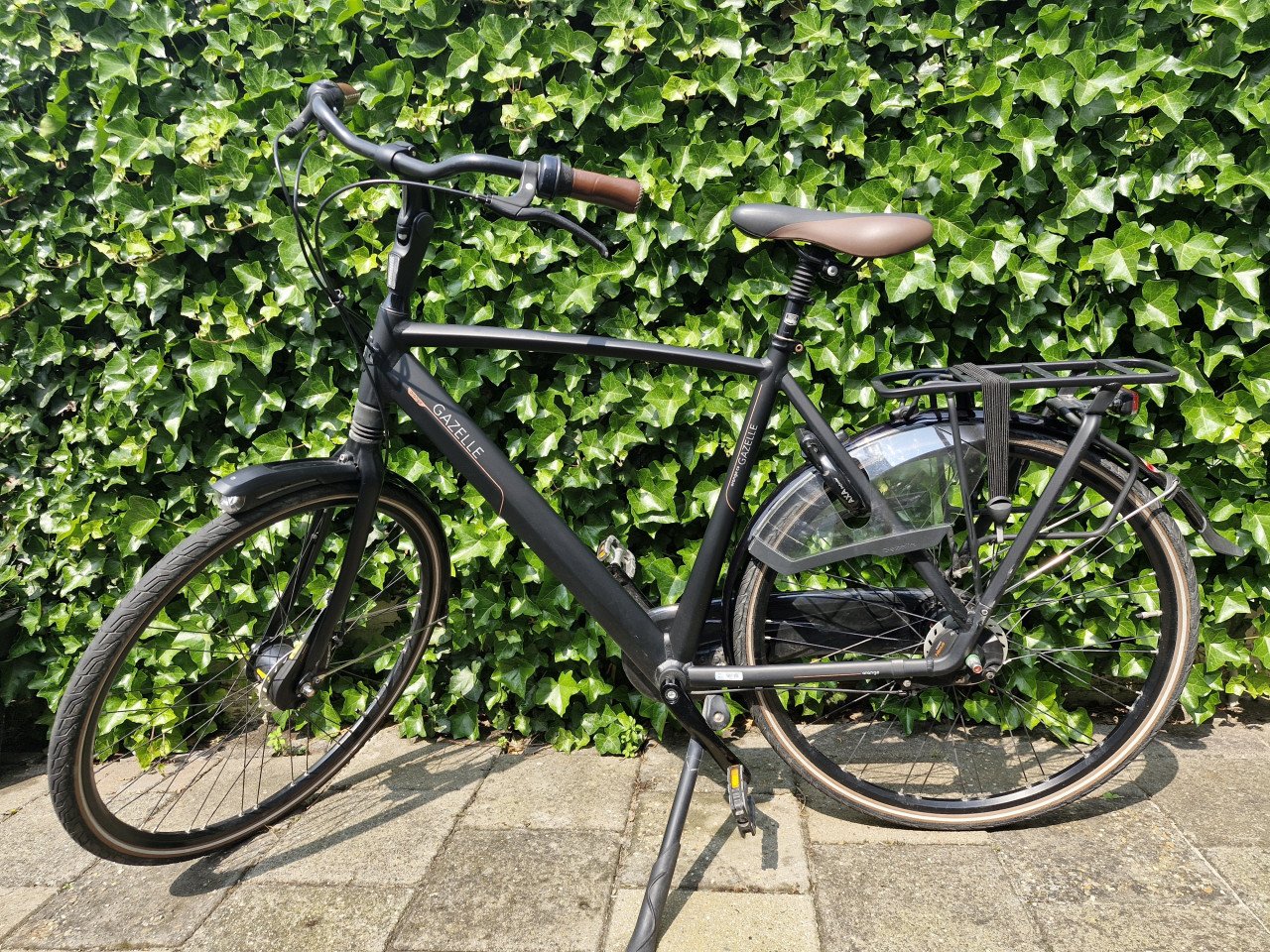 Gazelle Orange C8