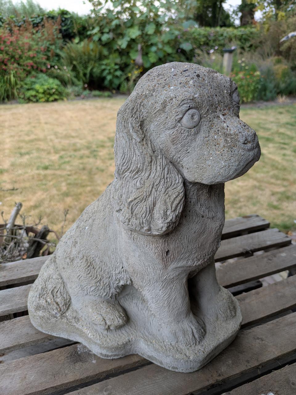 Betonnen hond Cocker Spaniel