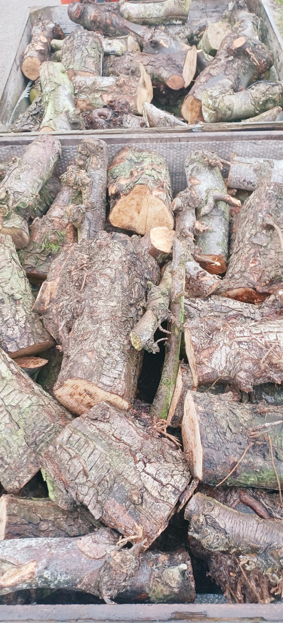 Diverse soorten haardhout