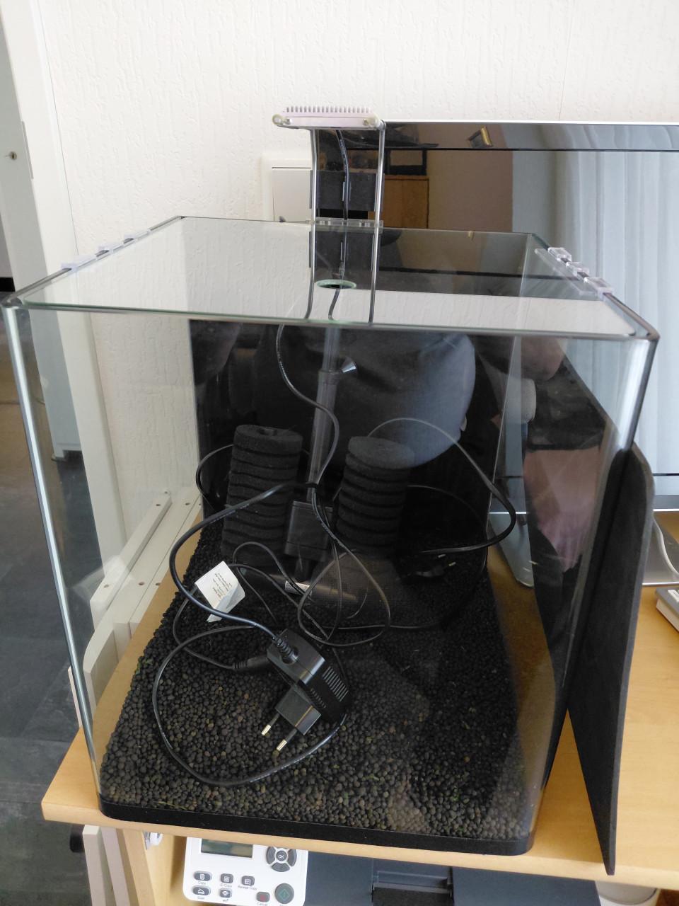 2 x dennerle nano cube 30 compleet