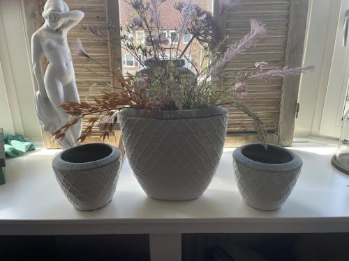 3 mooie sjieke bloempotten